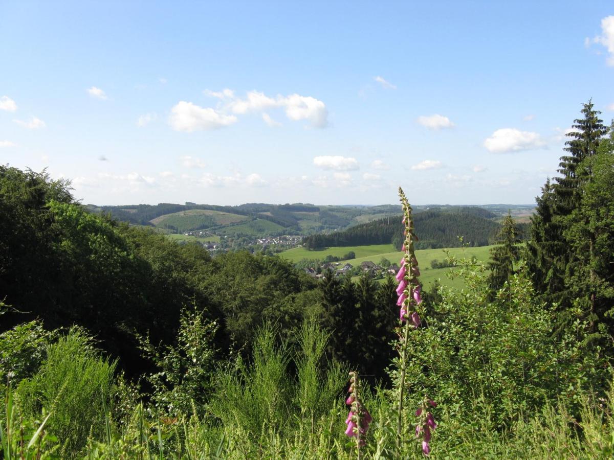 Urlaub Im Naturgarten Leilighet Bergneustadt Eksteriør bilde