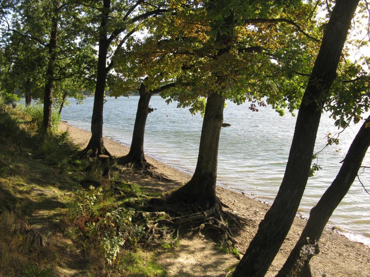 Urlaub Im Naturgarten Leilighet Bergneustadt Eksteriør bilde